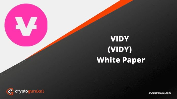 VIDY White Paper
