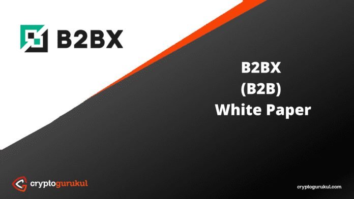 B2BX B2B White Paper