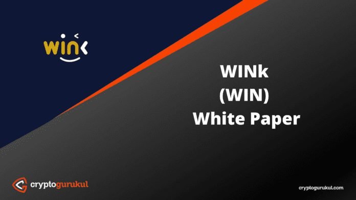 WINk WIN White Paper